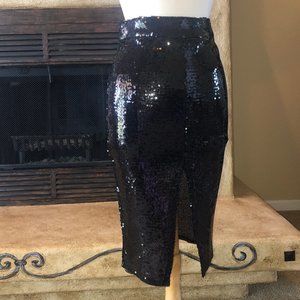 Sequin Skirt with Exposed Zipper back NEW